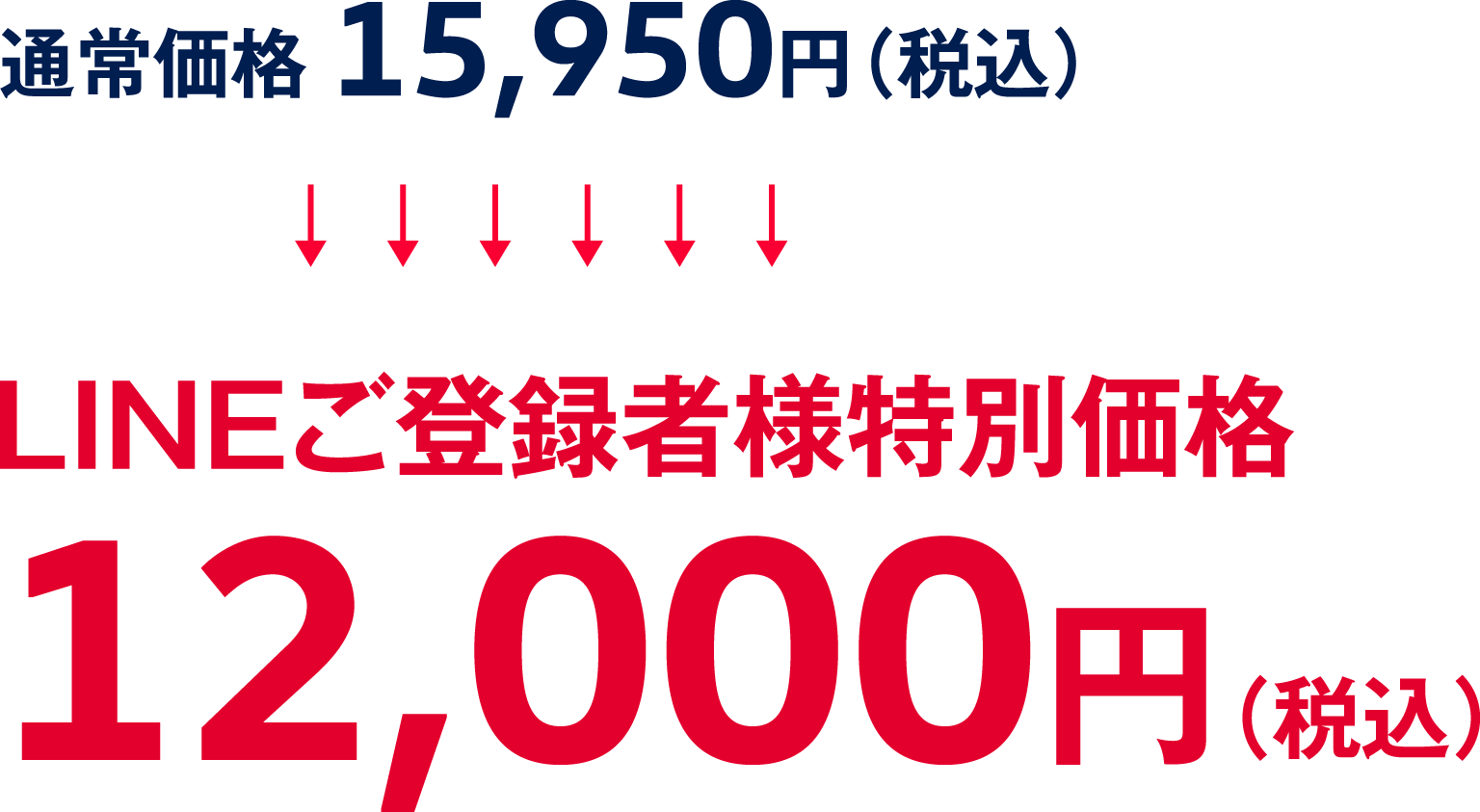 LINEご登録者様特別価格 12,000円（税込）
